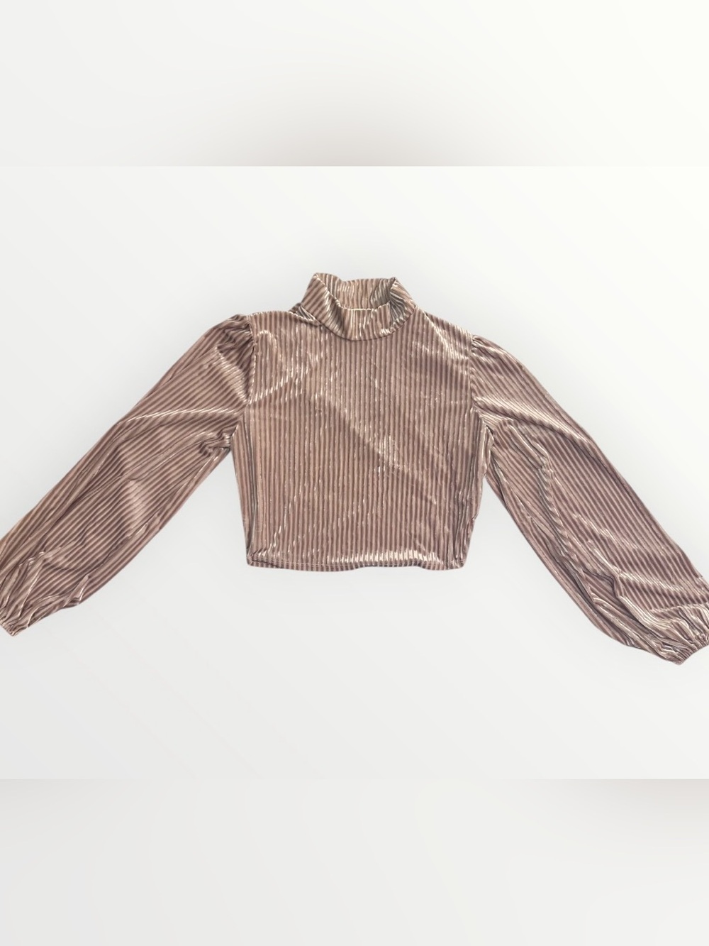 Vintage-Inspired Crushed Velvet Ribbed Mock Neck Crop Top